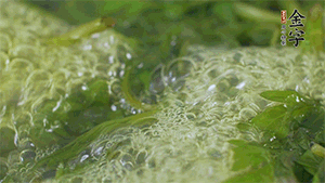 艾草葉放入煮沸的水中，加點(diǎn)食用堿，待變成深綠色時(shí)撈出，放入冰水中，瀝干備用。