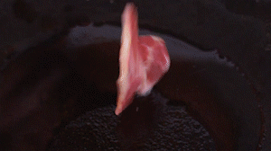 鍋中倒入橄欖油燒熱，放入淡火腿小火煸炒至打卷狀態(tài)。