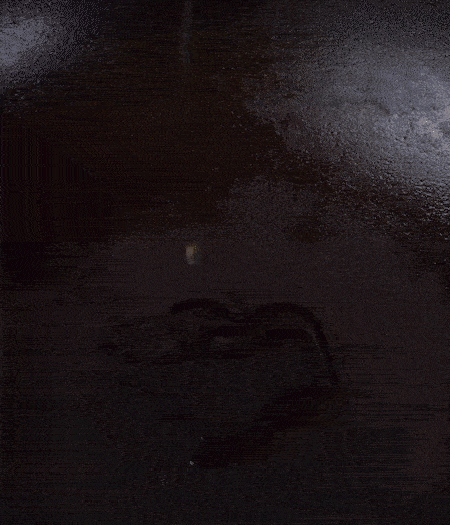 冷鍋熱油，下蒜片爆香，下香腸、玉米筍、蓮藕、西芹爆炒，期間加點(diǎn)水，翻炒1分鐘后加新鮮百合片，翻炒30秒。