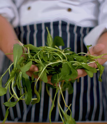 馬蘭頭焯水，切成細(xì)末。