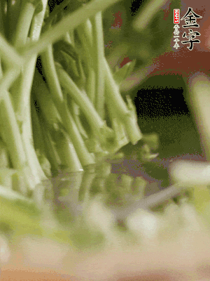 新鮮豌豆苗割下洗凈。